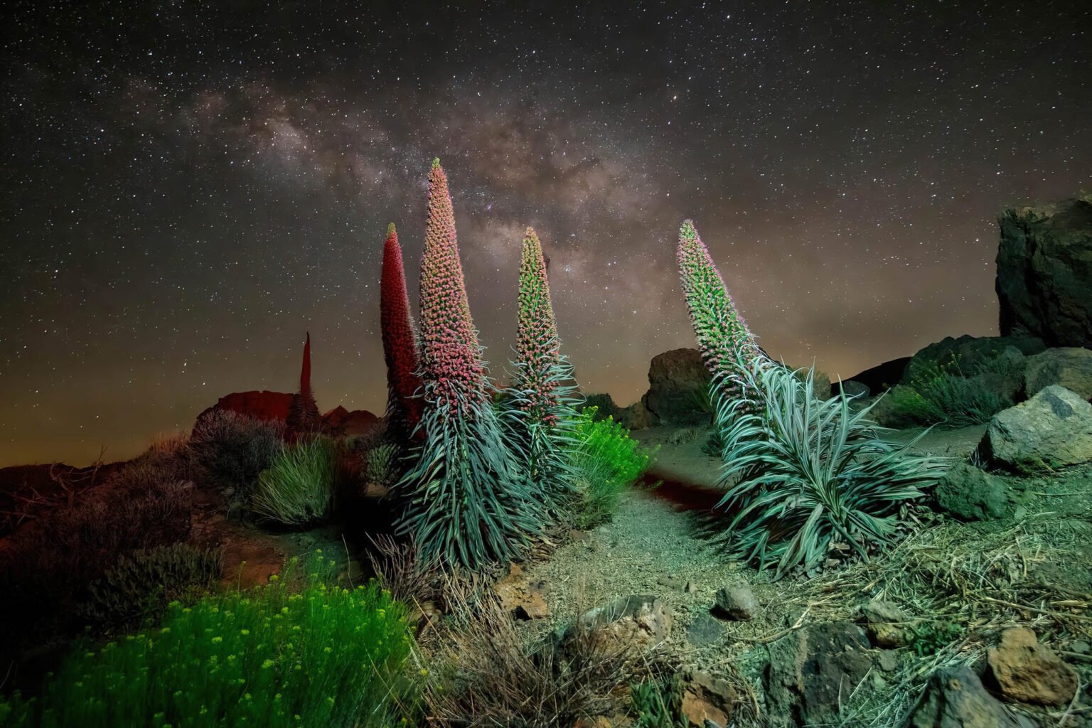 Astrophotography - image taken from Tenerife - 4-Night Astrophotography Courses available.